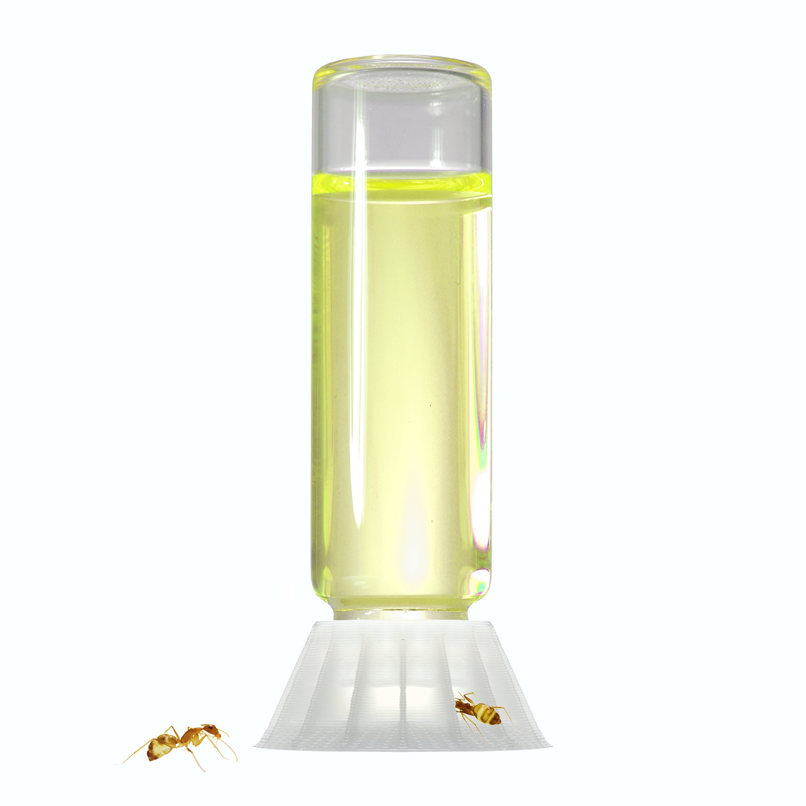 Byformica Liquide Feeder Mega 16 ML pour Fourmis Eau de Sucre Ant Nectar