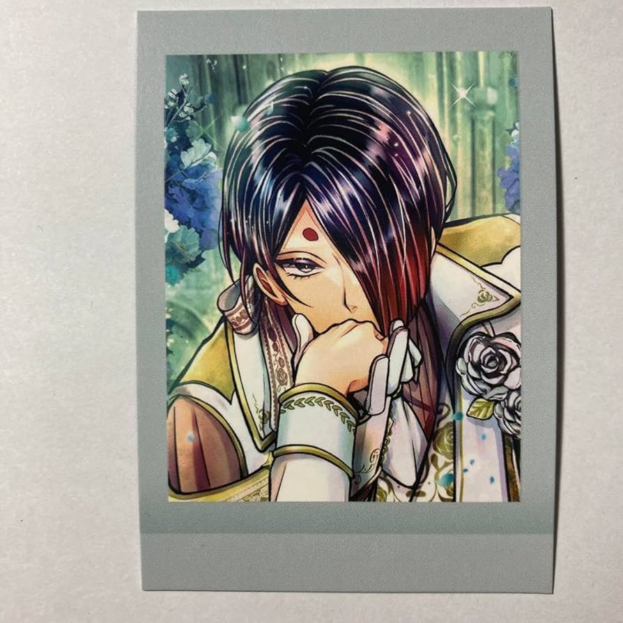 あくねこ ユーハン ぱしゃこれ Amazon.co.jp: あくねこ ぱしゃこれ シノノメ ユーハン : おもちゃ