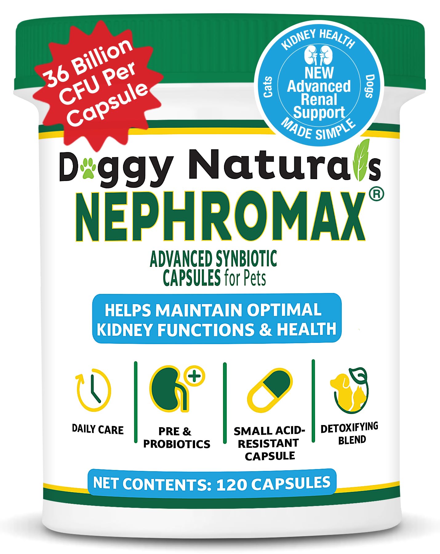 Amazon.com : NEPHROMAX™ Synbiotic Capsules for Kidney Support for