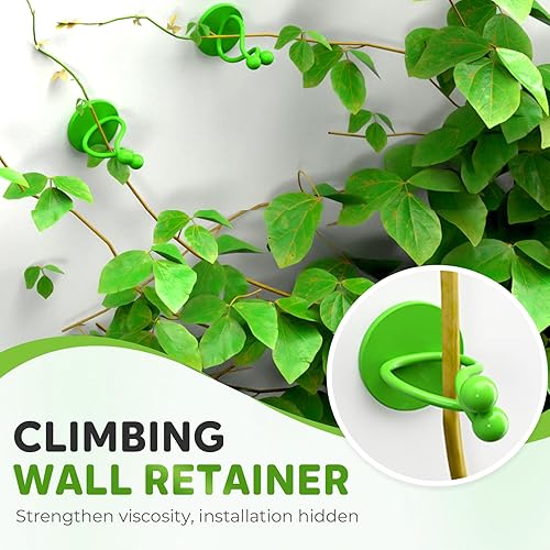 Miniatura 6 de HISKI Clips de pared para escalada de plantas, fijador de plantas verdes con gancho autoadhesivo, clips de pared para plantas trepadoras, clips de