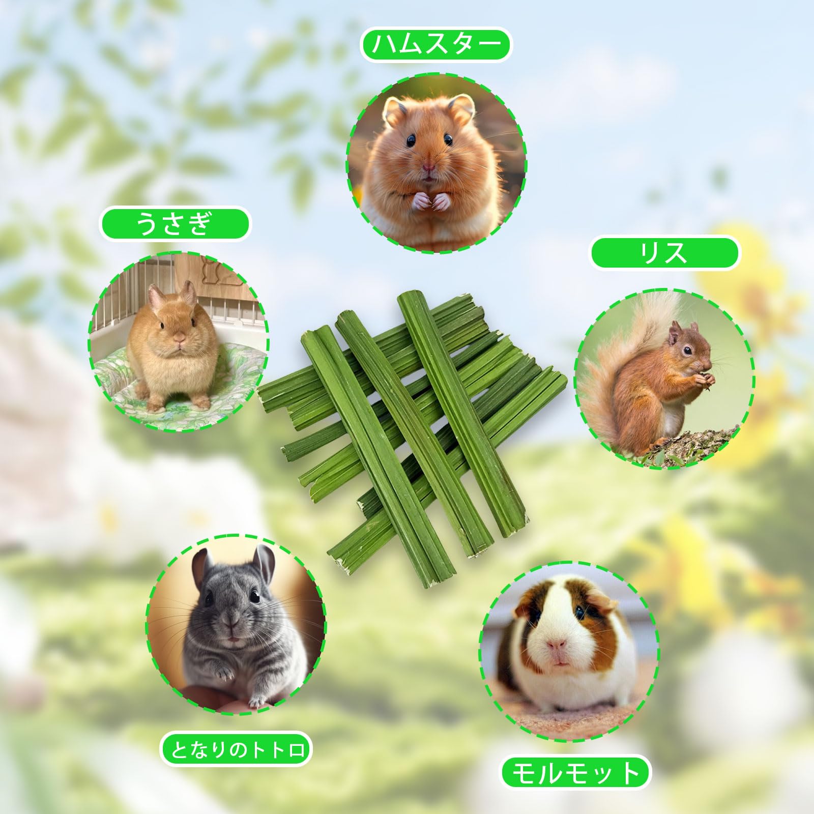 Amazon.co.jp: うさぎ 噛むおもちゃ 約40g 天然 パパイヤの茎 小動物