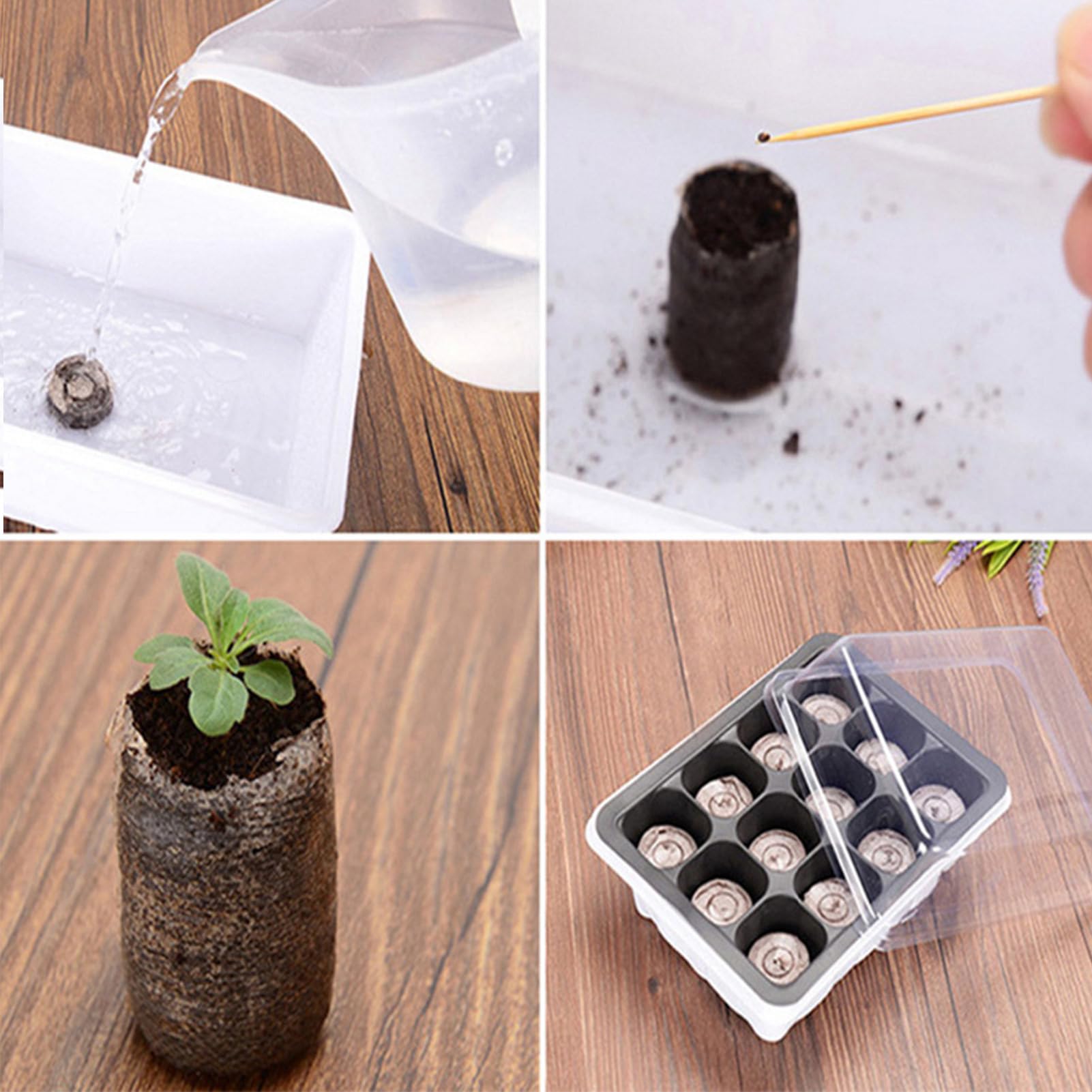 Cápsulas Germinadoras Para Plantas | 10 Unidades De Bloques De Nutrientes Comprimidos Para Sustrato - Sustrato Comprimido Para Siembra Con Bloqueador De Tierra Accesorios De Jardinería Para Macetas Ex