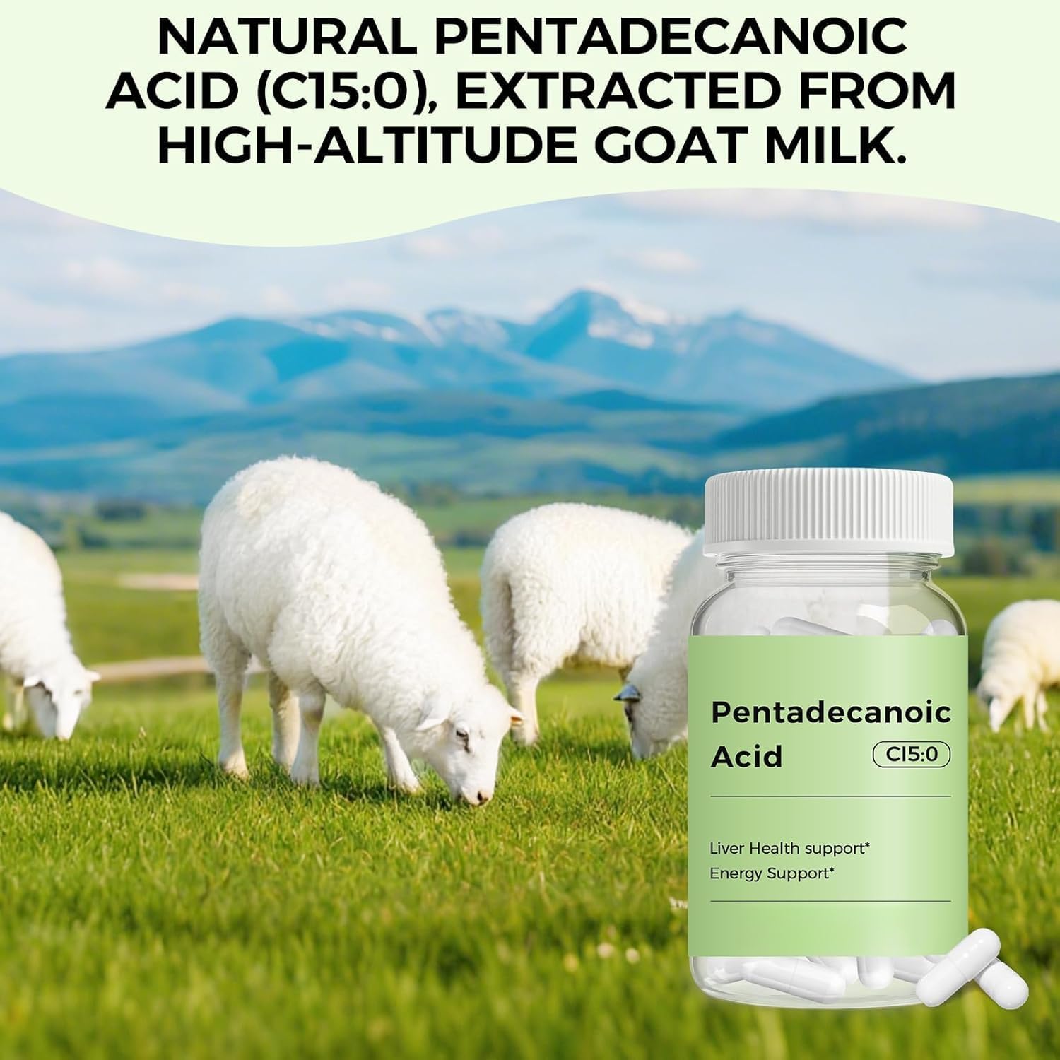 Acide pentadécanoïque, C15:0, Soutien métabolique et mitochondrial, Dérivé du lait de chèvre de haute altitude