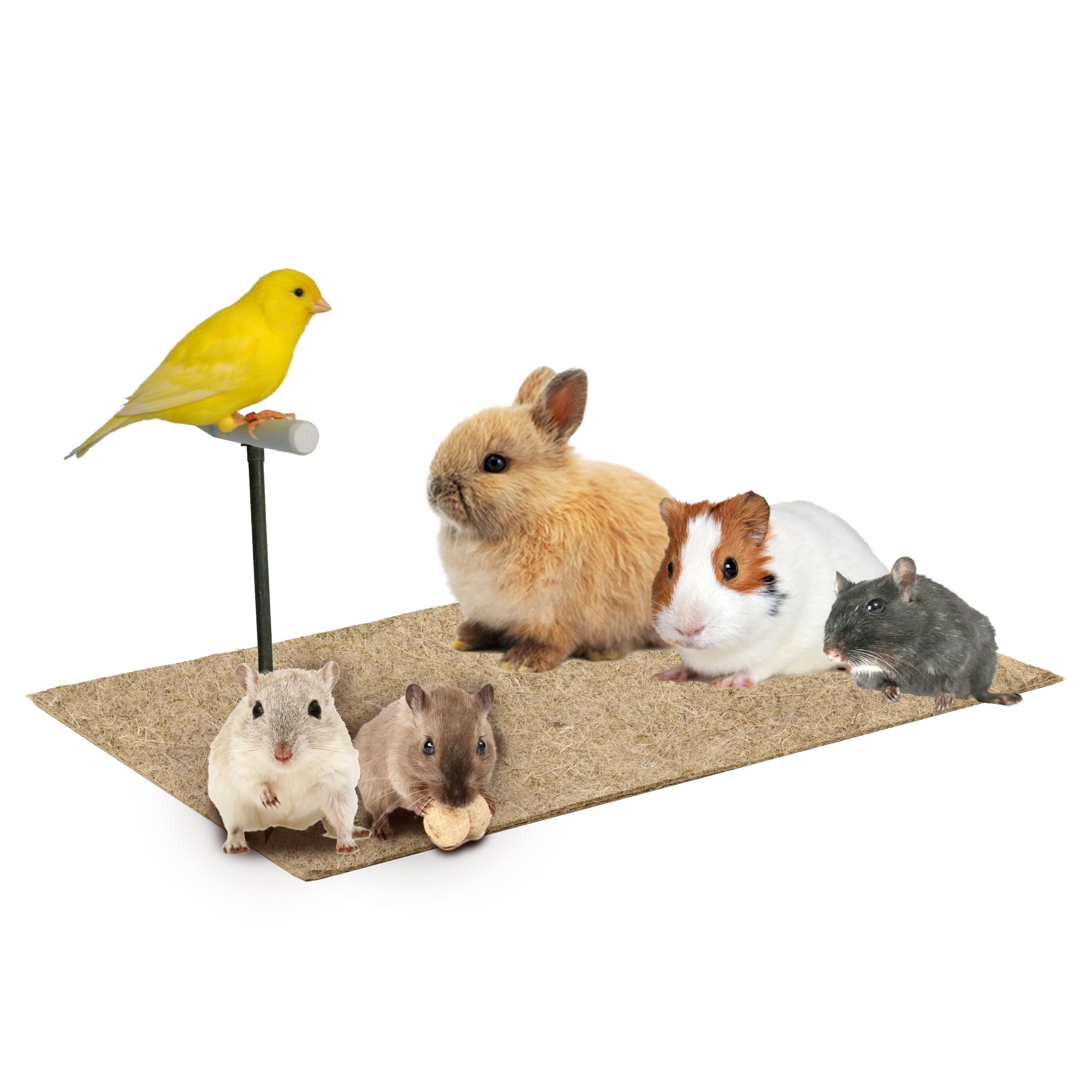 La Cordeline Set di 6 tappeti lettiera canapa naturale, 25 x 40 cm, 1000 g/m², fondo gabbia per roditori, conigli, criceti, ecc