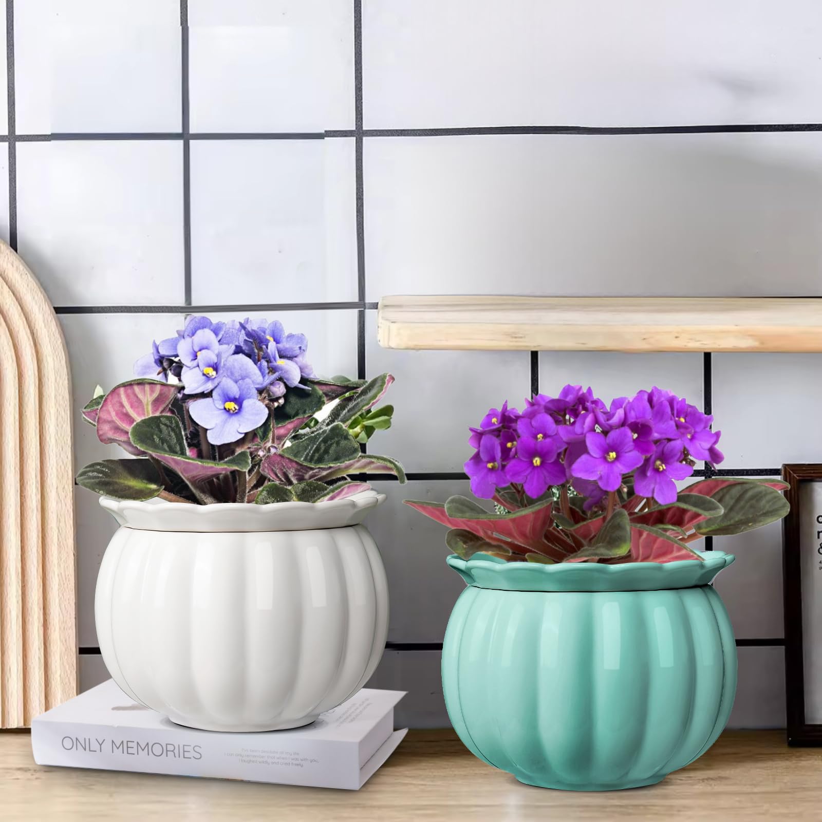 air purification plants indoor Essential Houseplant 4-pack: Popular Air Purifying Live Plants - (4.25 –  Altman Plants main image 0