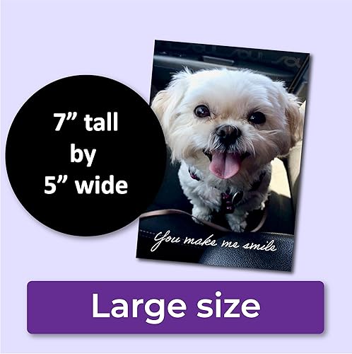 Miniatura 3 de You Make Me Smile - Tarjeta de felicitación para perro, tarjeta Shih Tzu, tarjeta de amistad activa (paquete de 1)