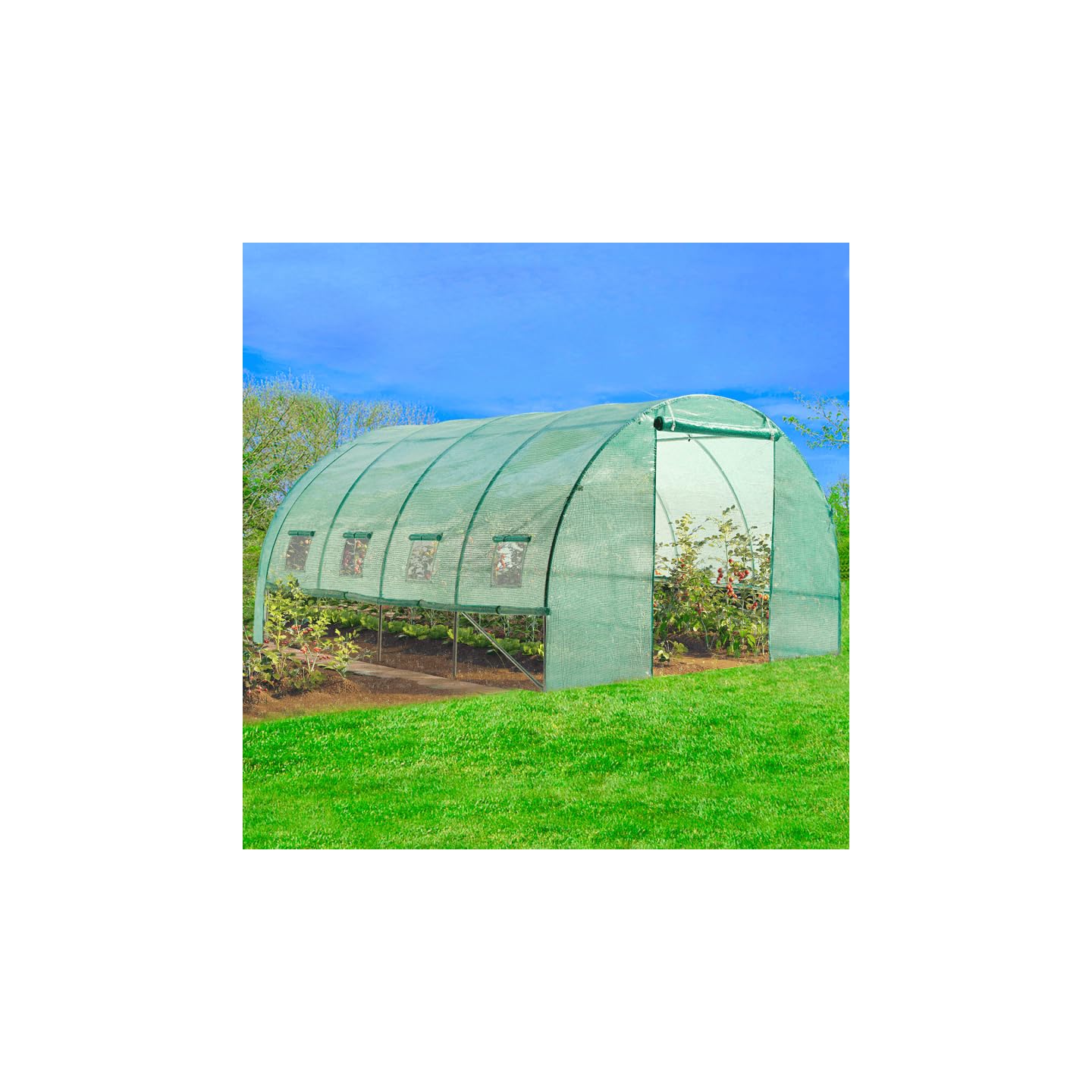 IDMarket - Serra da giardino a tunnel da 12 m², 4 x 3 x 2 m, in acciaio zincato + telo anti-UV con porta e finestre ZEBRA verde, per tutte
