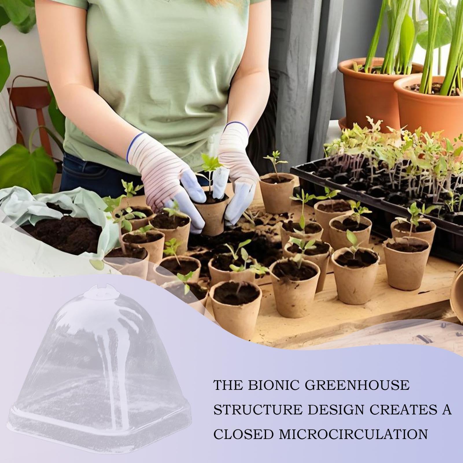 Dômes Humidité PVC Cloches Végétales Transparentes - Lot De 10, Mini Serres Pour Plantes Dômes Protection Plantes PVC Transparent Serre - 6