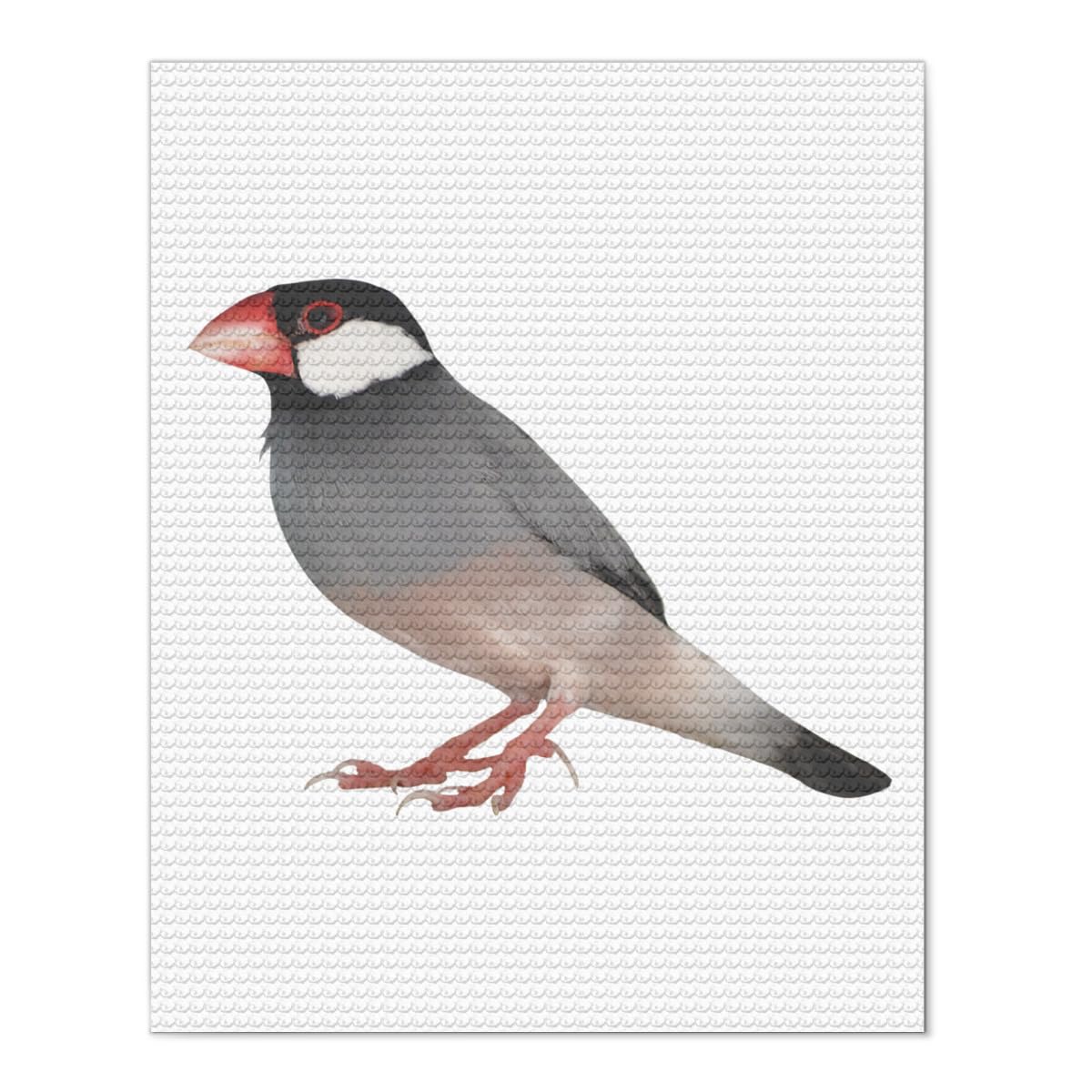 Amazon.co.jp: 文鳥 鳥柄 ダイヤモンドアート ダイアモンドビーズ絵画