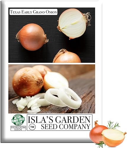 Semillas de cebolla granada temprana de Texas (Allium cepa) – Más de 300 semillas de reliquia sin OMG de Isla's Garden Seeds, cebolla dulce de día