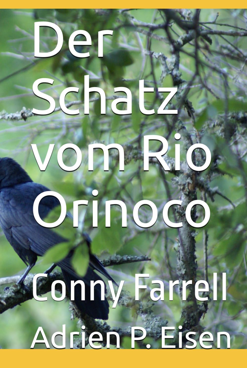 Der Schatz vom Rio Orinoco: Conny Farrell (Conny Farrell - Deutsche Ausgabe)