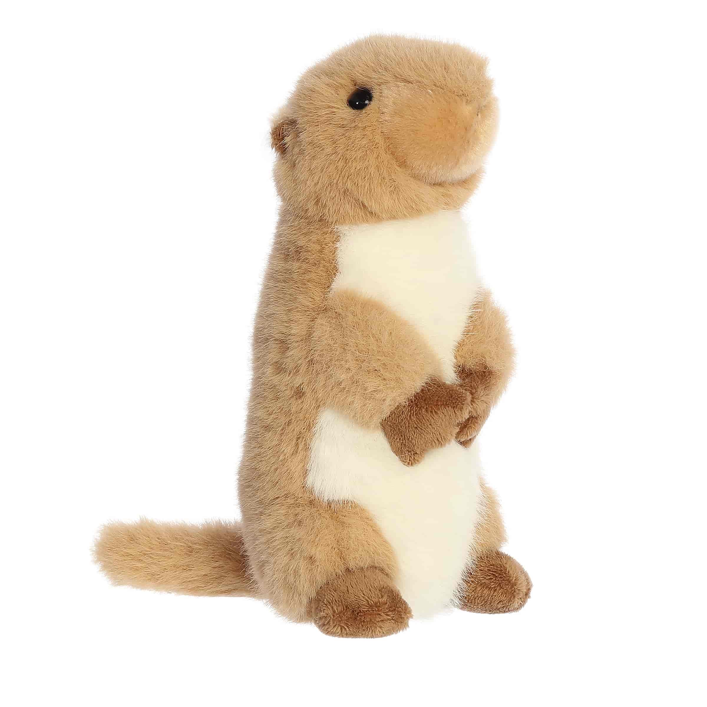 Amazon.com: Aurora® Adorable Mini Flopsie™ Clover Prairie Dog