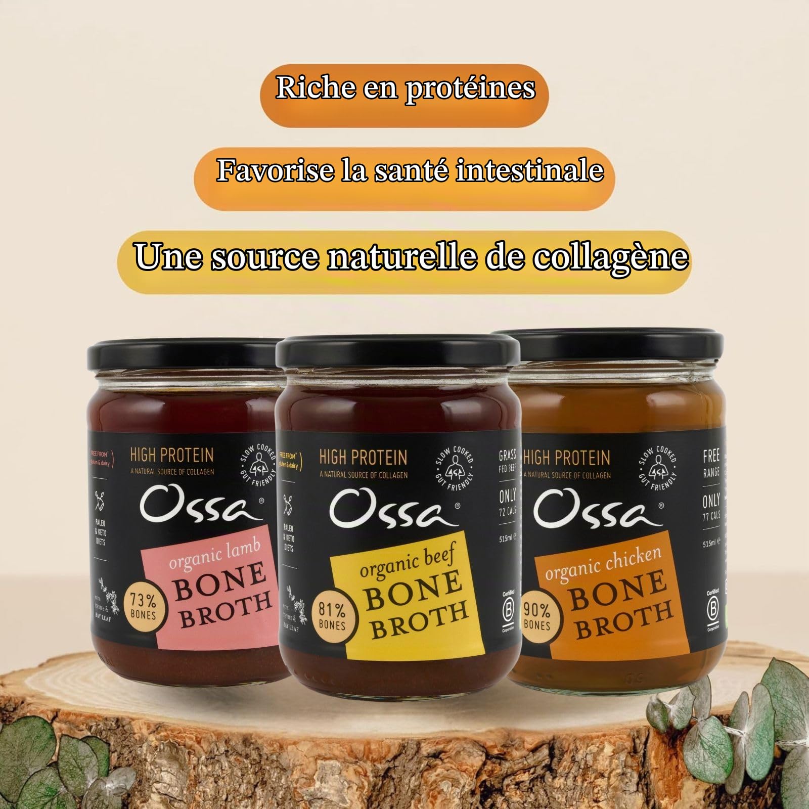 Ossa Chicken Ambient Bone Broth, High-Protein Broth, Preservative-Free Soup & Cooking Essential, Keto & Paleo-Friendly Soup Maker for Gut Health & Digestion, 515 mL