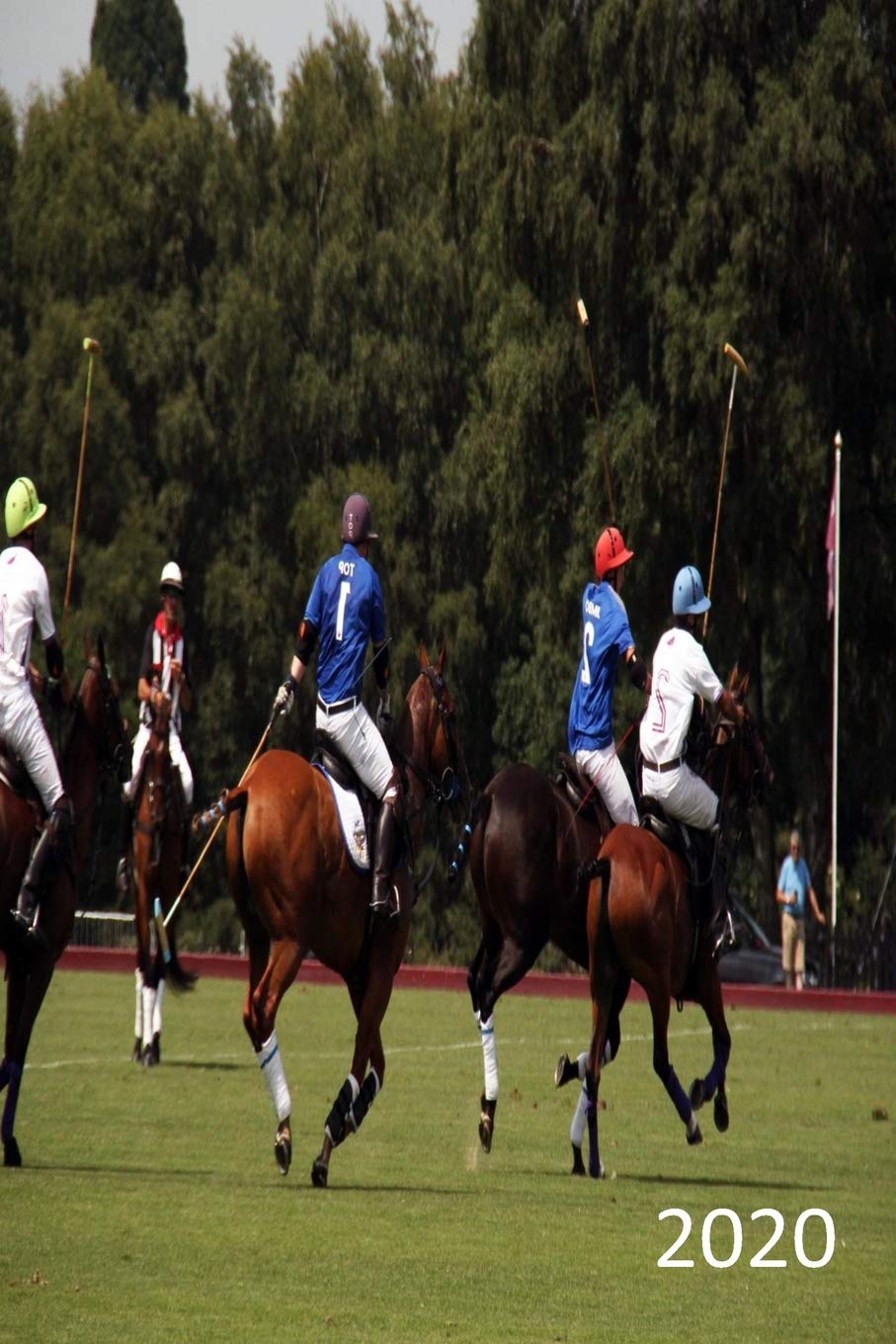 2020: Diary, Weekly Planner, Organiser, Year 2020 - Week Per View. Gift for Polo Player
