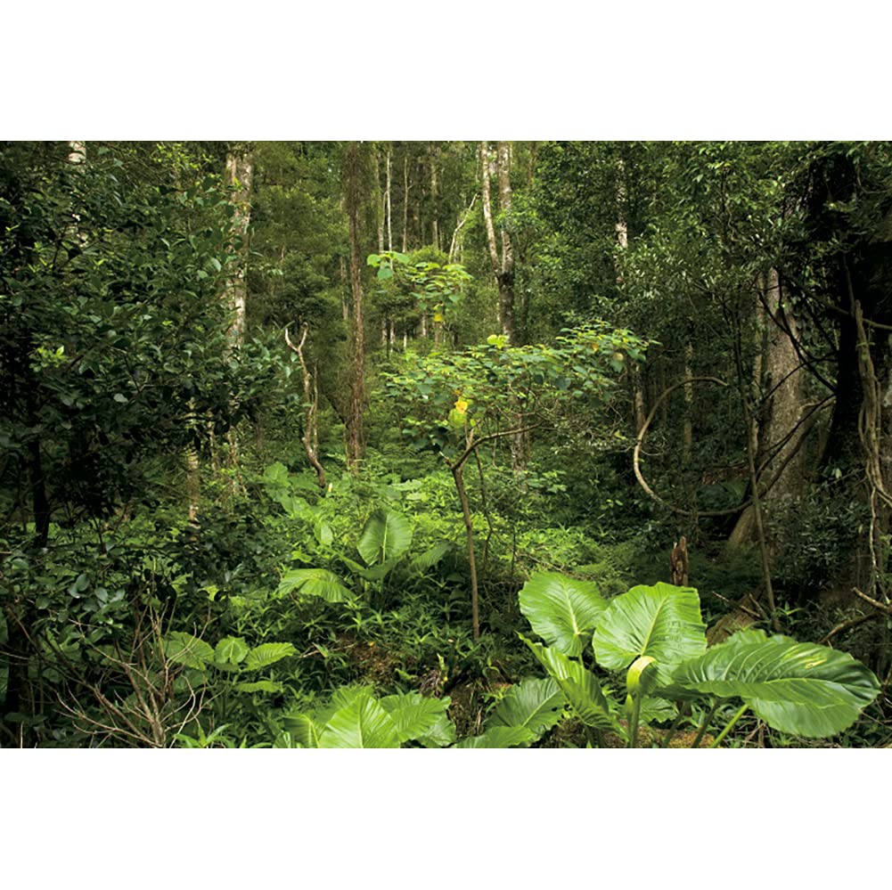SDOTPMT 10x7ft Jungle Polyester Sac à Dos Camping Extérieur