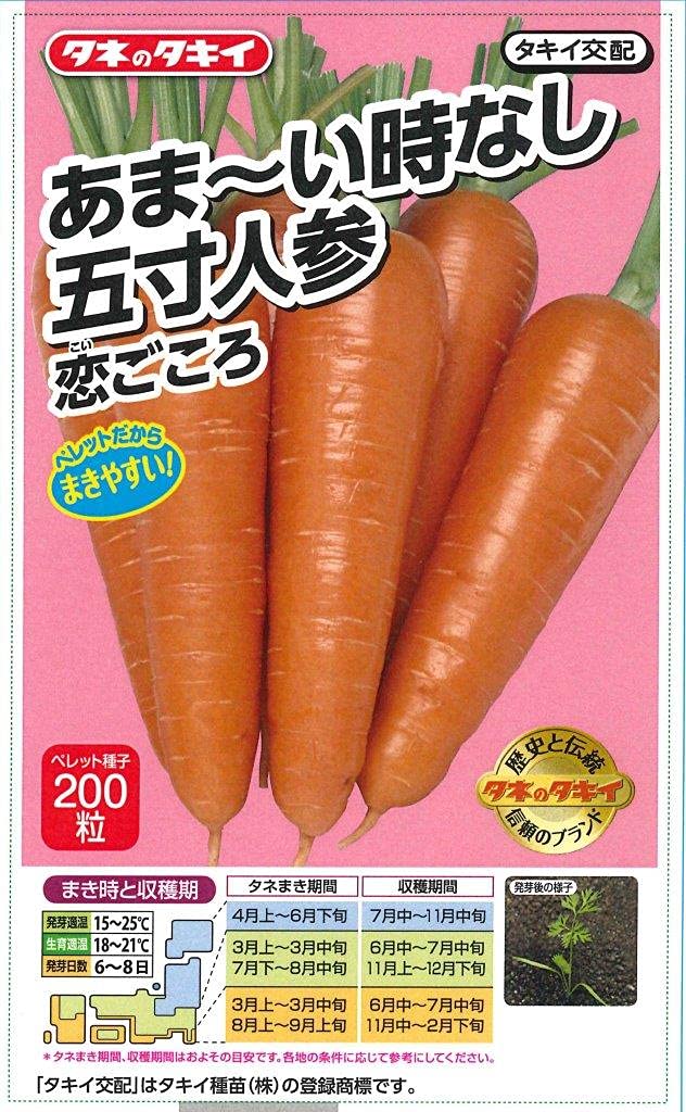 野菜の種(新種)18袋その③ 野菜の種(新種)×18袋