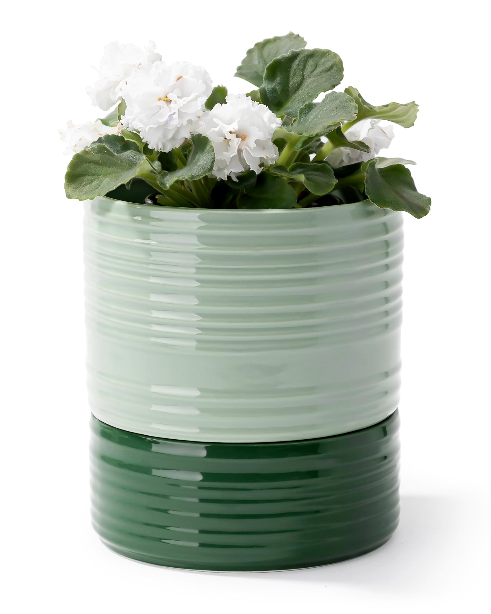 Fayoula Self Watering Pots 6 Inch Ceramic Green Light