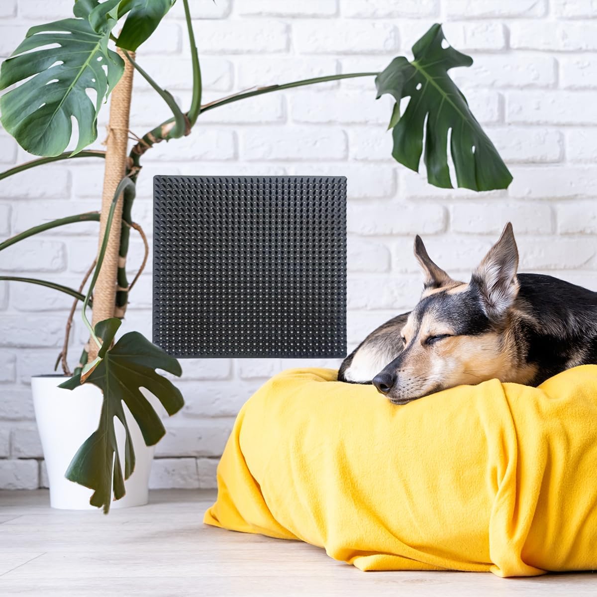 2 PCS Dog Scratching Post Pad, Soft Touch Itch Relief Pad for Horse Cow Goat Sheep, PVC Dog Back Scratcher, Massage Bed Massage Brush for Wooden Stake Wall Sofa Ground 11.8 x 11.8 Inch