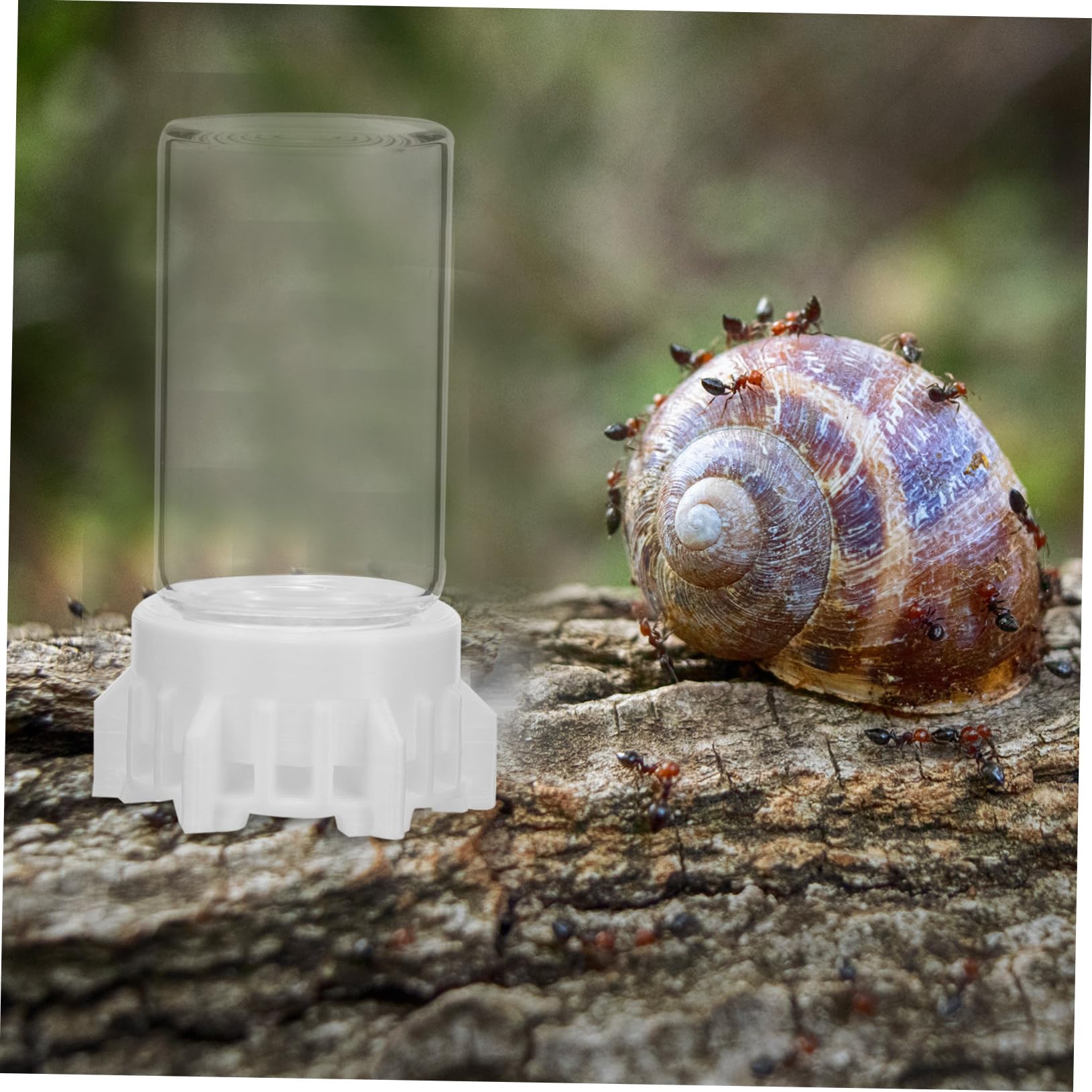 INOOMP 5stücke Ant Wasser Futterspender Transparente Ameisenfütterungsbox Leicht Zu Reinigen Langlebig Für Ameisennester Und Garten Sicheres Trinken Für Ihre Ameisen