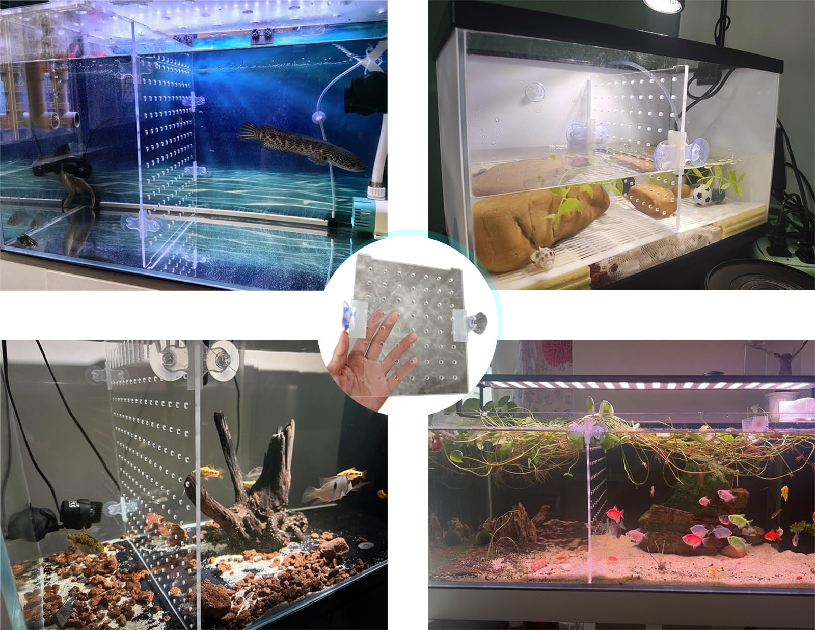 Divisor de Acuario Separador de pecera, placa de rejilla de aislamiento de acuario acrílico con ventosa/accesorios de acuario para pecera, kit transparente divisor de pecera de acuario grande(I Patter