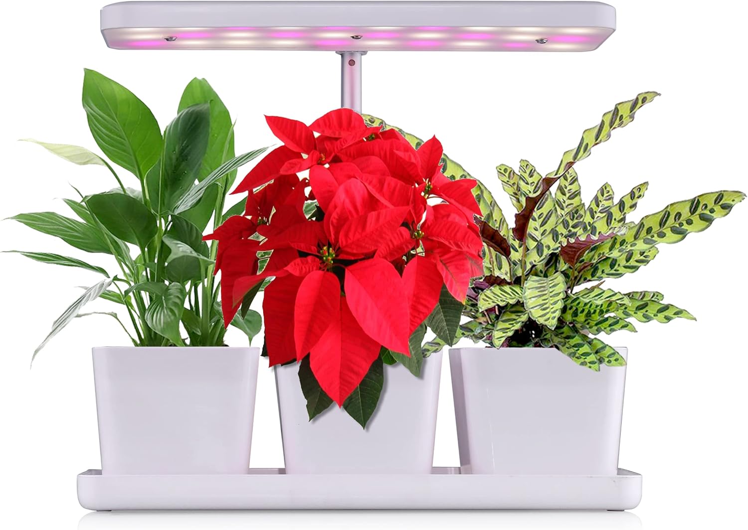 Agrifun Indoor Herb Garden Grow Light Kit with 3 Plant Pots