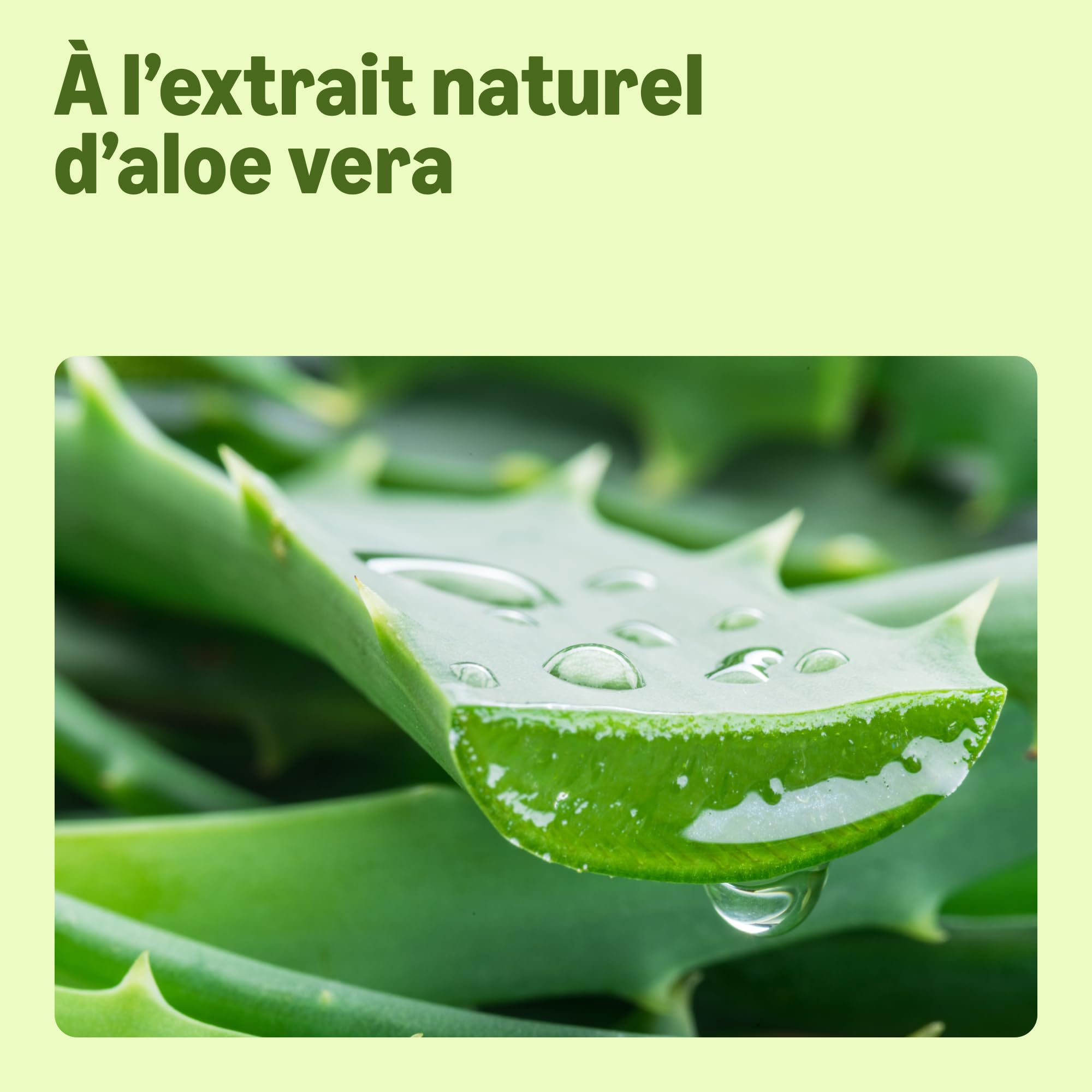 by Amazon Recharge de Savon pour les mains, Aloe Vera, 2 x 1000ml