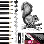 Drawing Pencil Set, 12 Pack Graphite Sketching Pencil Set Includes 2H to 8B, Pencil Sketch Kits with Art Supplies, Ideal for Artists, Adults, Sketching Lover (Type 2)