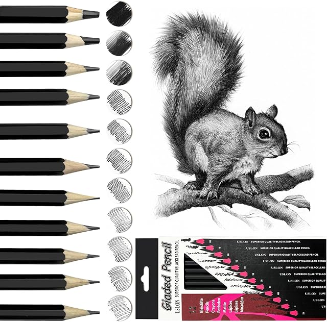 Crayons de croquis professionnels, 12 PCS Dessiner ensemble de crayons 8B-2H, Crayon dessin Sketch Crayons ensemble de fournitures d'art avec Graphite Crayons pour les artistes, les enfants, les étudiants, les adultes, Sketching Lover