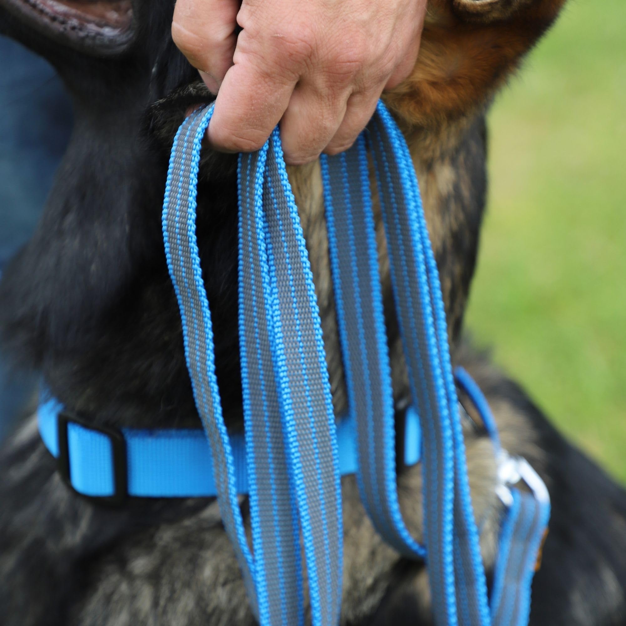 Dingo 12608 - Guinzaglio gommato senza passante, leggero e morbido, 2,0 cm x 10 m, colore: Blu