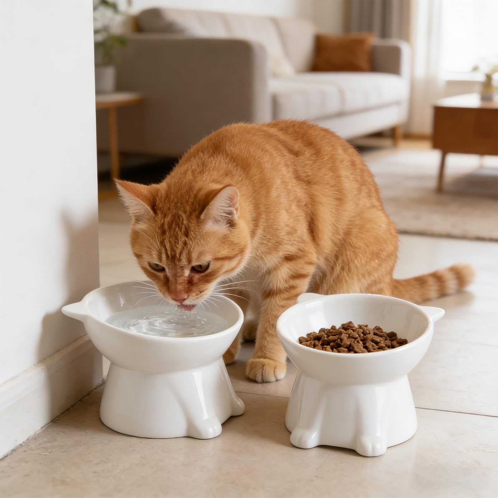 2 Pezzi Ciotole per Gatti Rialzate e Inclinate, Ciotola Acqua Gatto Inclinata di 15°,facile da Pulire,Base Stabile, Adatta a Gatti e Cani di Piccola Taglia(Bianco)