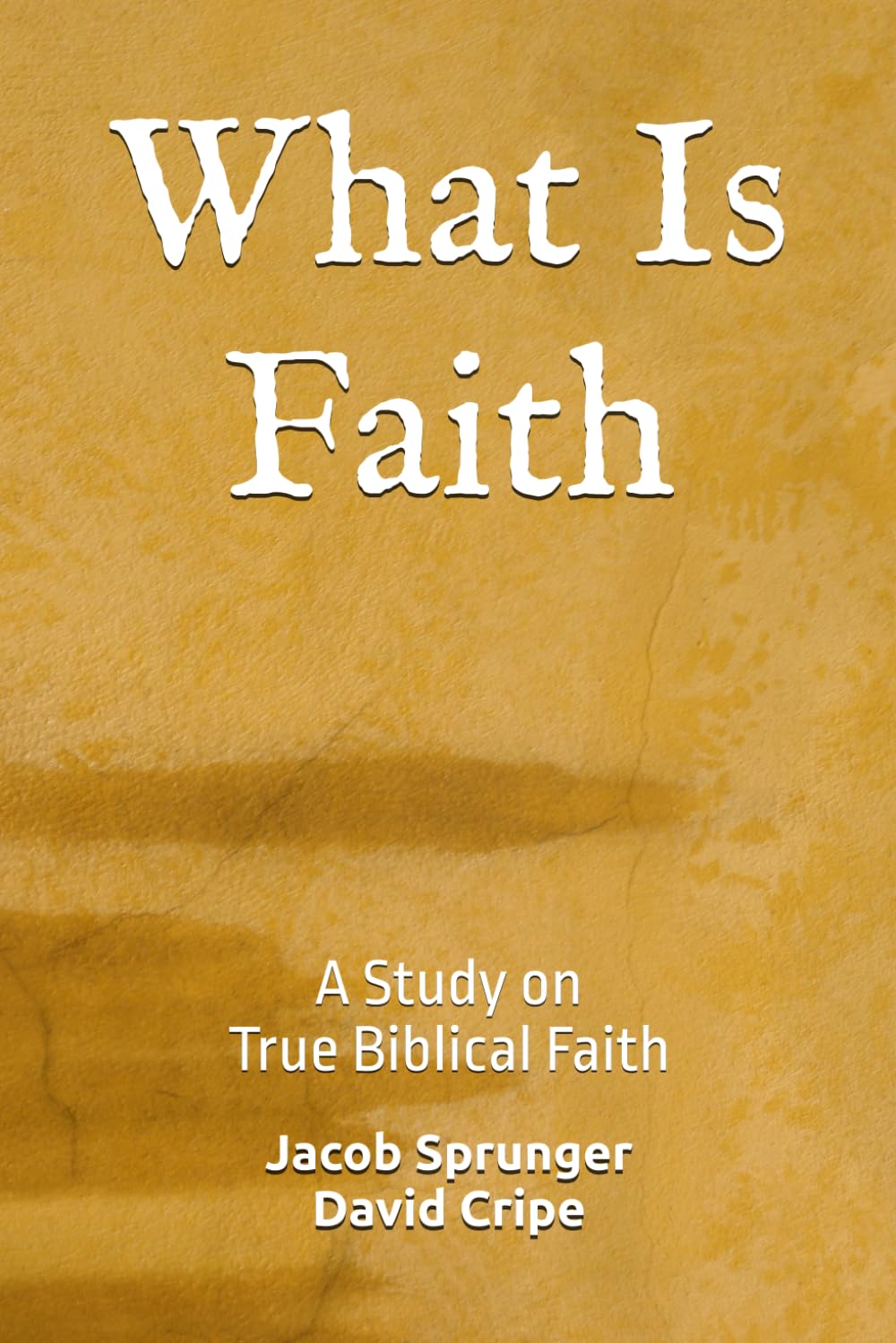 What Is Faith: A Study on True Biblical Faith