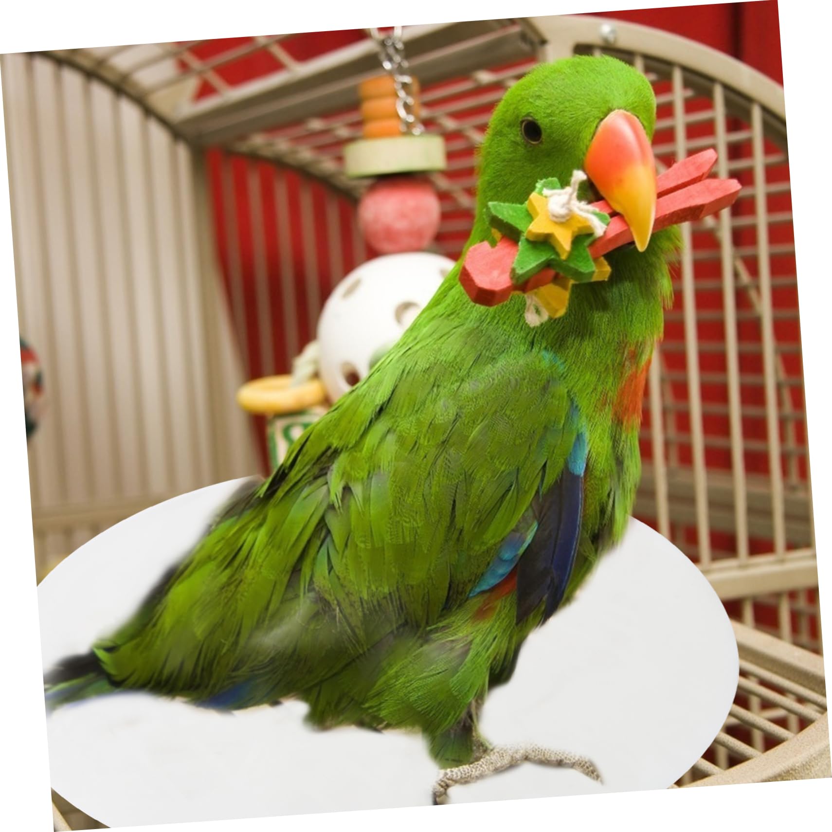 TOYANDONA 100Pezzi Fodere per Uccelli Assorbenti Gabbie Pappagalli Tappetini per Assorbente per Pulizia Facile e Odori Ridotti