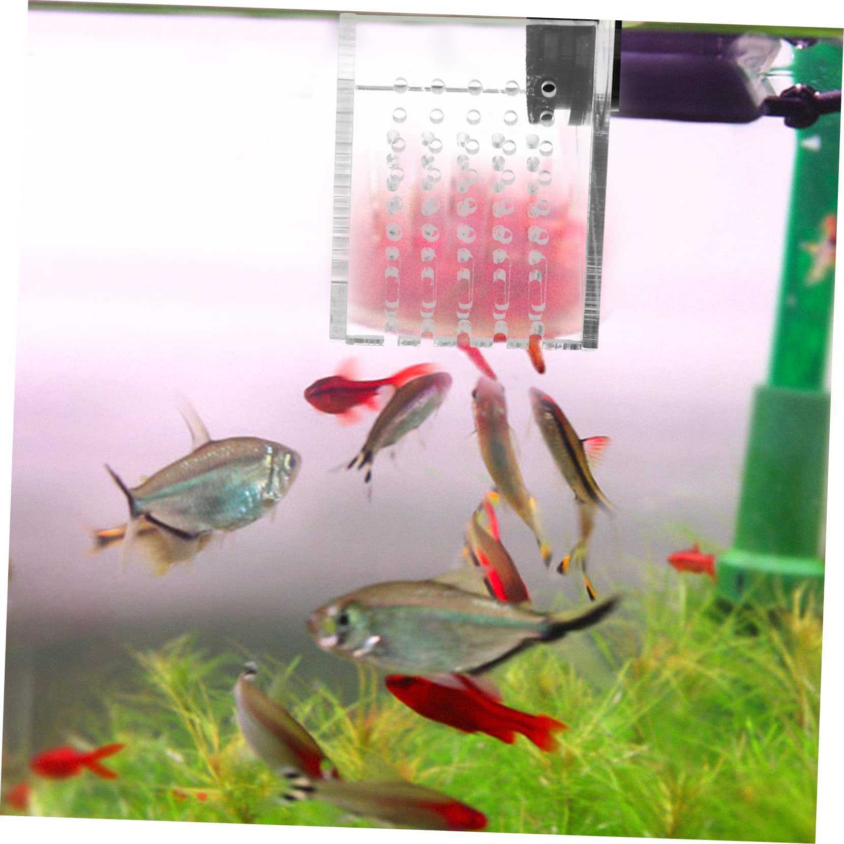 Hemobllo Comedero Magnético Acrílico para Peces Fácil de Instalar y Mantiene el Acuario Limpio, Dispensador de Comida Adecuado para Alimentación en Peceras
