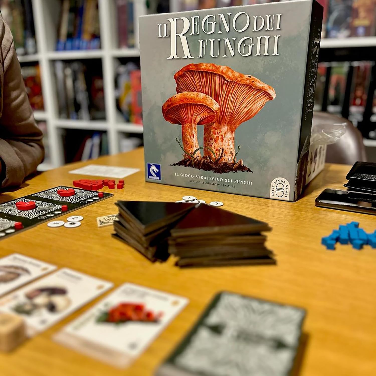 Pendragon - Il Regno dei Funghi - Edizione italiana - Gioco da tavolo, Età 10+,1-4 Giocatori
