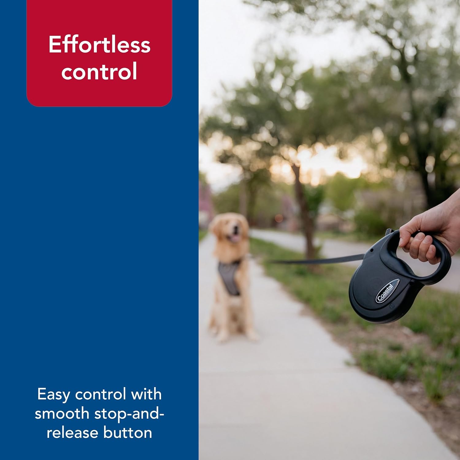 Coastal Pet Power Walker Dog Retractable Leash - Reflective Dog Leash - Stop-and-Release Control Button - Comfort Grip Handle - Blue - Large