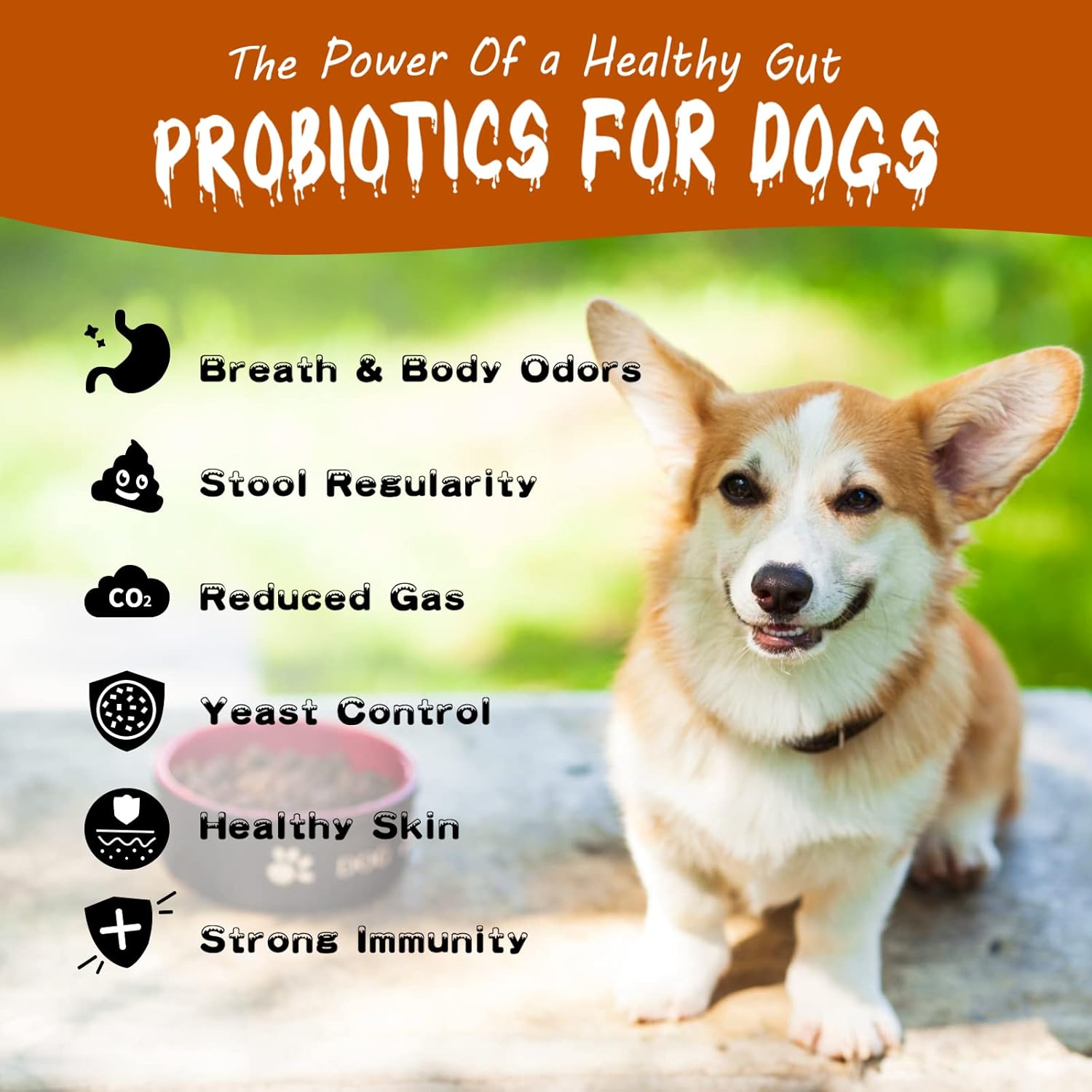 DIFERENCIA ENTRE PREBIOTICO Y PROBIOTICO PARA PERROS visual data 2