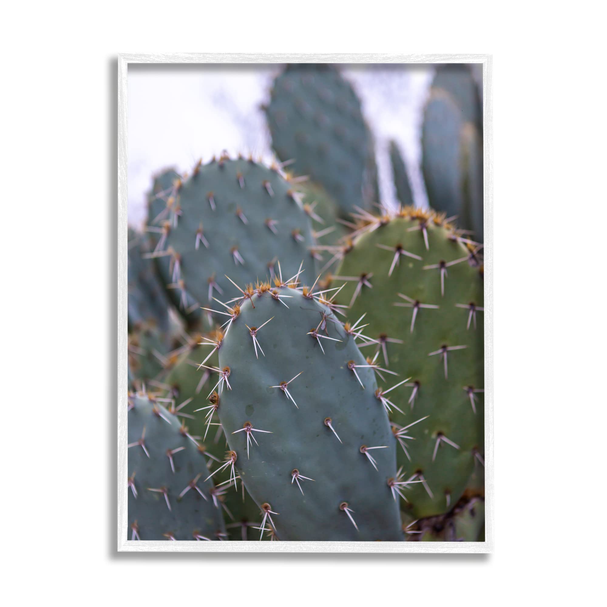 Stupell IndustriesPrickly Cactus Thorns Close Up Photography Desert Vegetation, Design by Jeff Poe Photography