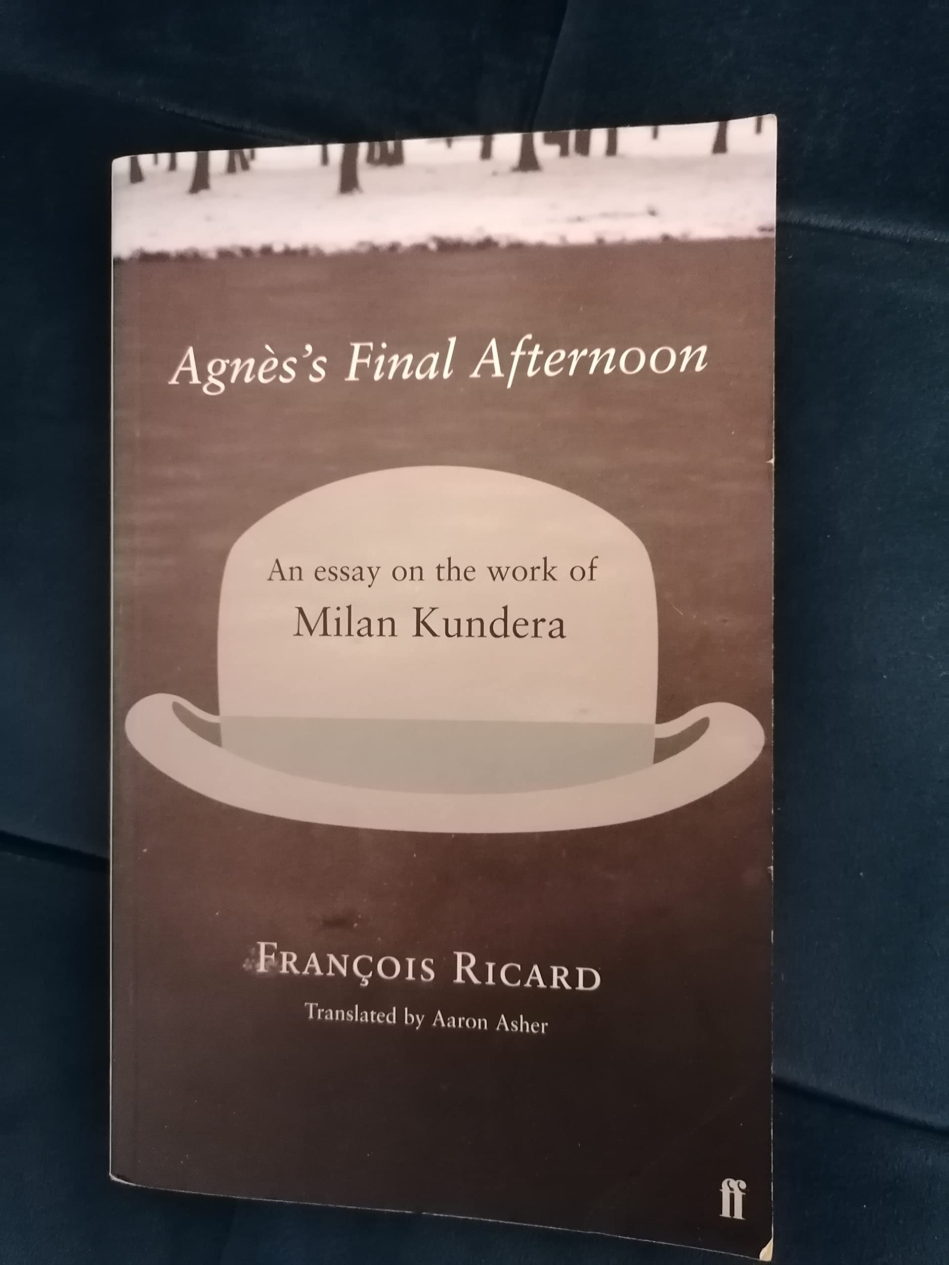 Agnes's Final Afternoon: An Essay on Milan Kundera's Oeuvre