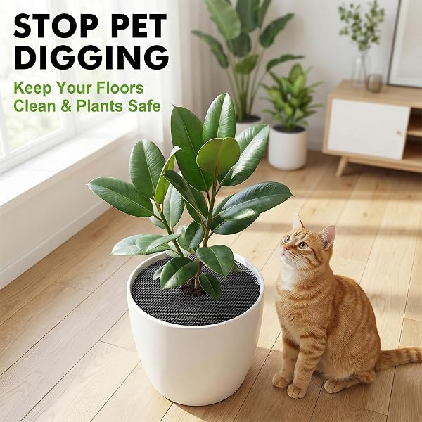 Ceriselle Griglia per vasi da Fiori, 6 Pezzi Griglie & coperture protettive per Piante, 30cm Rete Protettiva tagliabile per Gatti e Animali, Protezione per Giardino e Balcone - 5