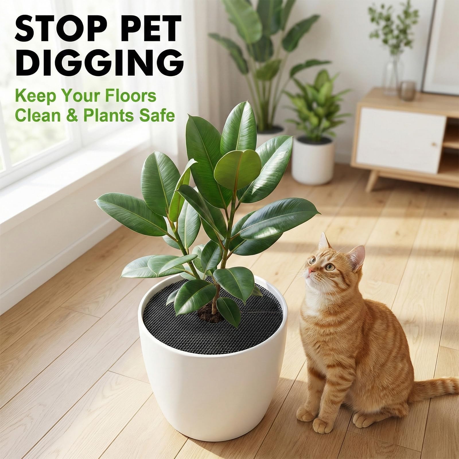 Blumentopfgitter, 6 Unidades de Rejilla y Cubierta Protectora de Plantas, Red de protección de 30 cm para Gatos y Animales, protección para jardín y balcón