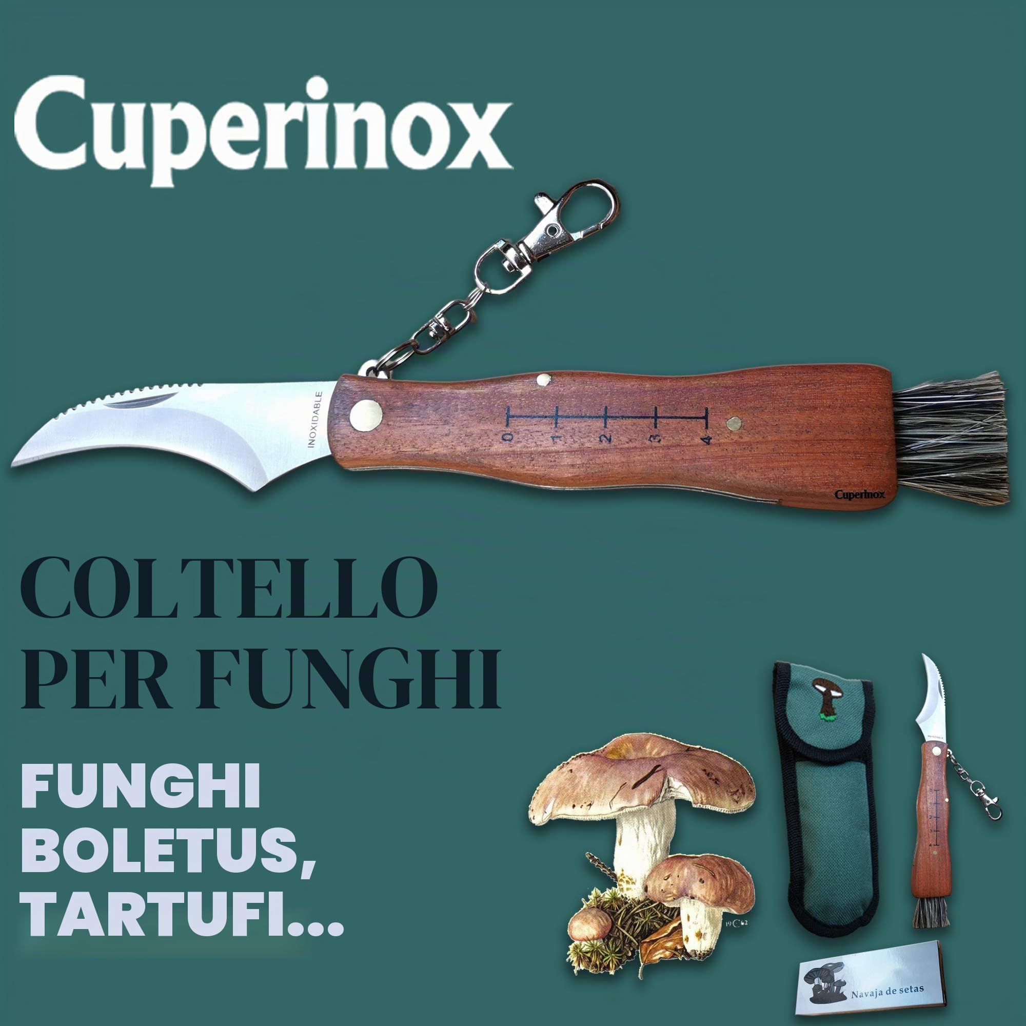 coltello per funghi, in acciaio inox, con custodia, coltello incluso, coltello micologica
