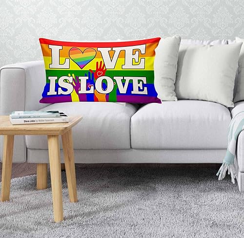 Miniatura 4 de Love is Love Pride - Fundas de almohada LGBT, funda de almohada de orgullo gay arco iris, suministros de fiesta para decoración del hogar, 20 x 12