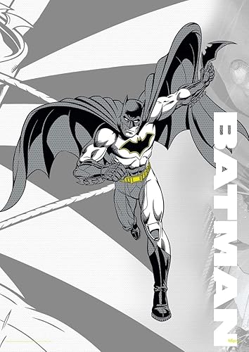 MIGHTYPRINT DC Comics Liga de la Justicia Batman legendario 2 Cinturón Batarang Arte de pared duradero de 17 x 24 pulgadas No hecho de papel