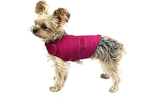 Comfort Dog Anxiety Relief Coat: Ultimate Tranquility for Canine Companions