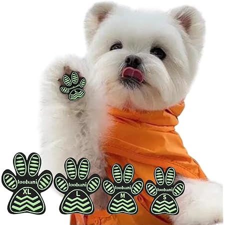 Amazon Loobani 犬 足 パッド くつ ペット 靴下 滑り止め 肉球 保護 傷防止 すべり 止め フット 犬 滑り止め シール 硬い木の床から滑り落ちるのを防ぐトラクションを犬に提供し 屋内での老犬用に最適 S グリーン 24枚入り Loobani トイレトレー 通販 Amazon Loobani 犬 足 パッド くつ ペット 靴下 滑り止め 肉球 保護 傷防止 すべり 止め フット 犬 滑り止め シール 硬い木の床から滑り落ちるのを防ぐトラクションを犬に提供し 屋内での老犬用に最適 S グリーン 24枚入り Loobani トイレトレー 通販