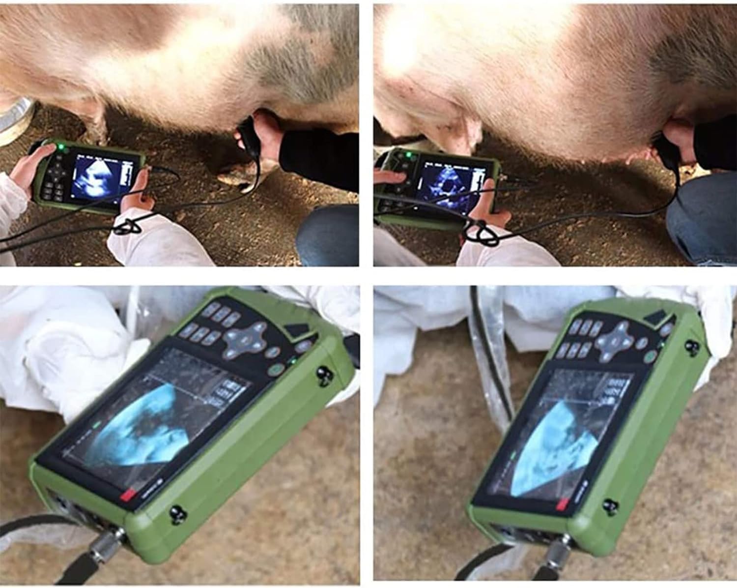 Scanner ad ultrasuoni B portatile for animali, diagnostica veterinaria di gravidanza con sonda convessa da 3,5 Mhz for cani da pastore, gatti e suini, stima del numero di feti, battito cardiaco fetale