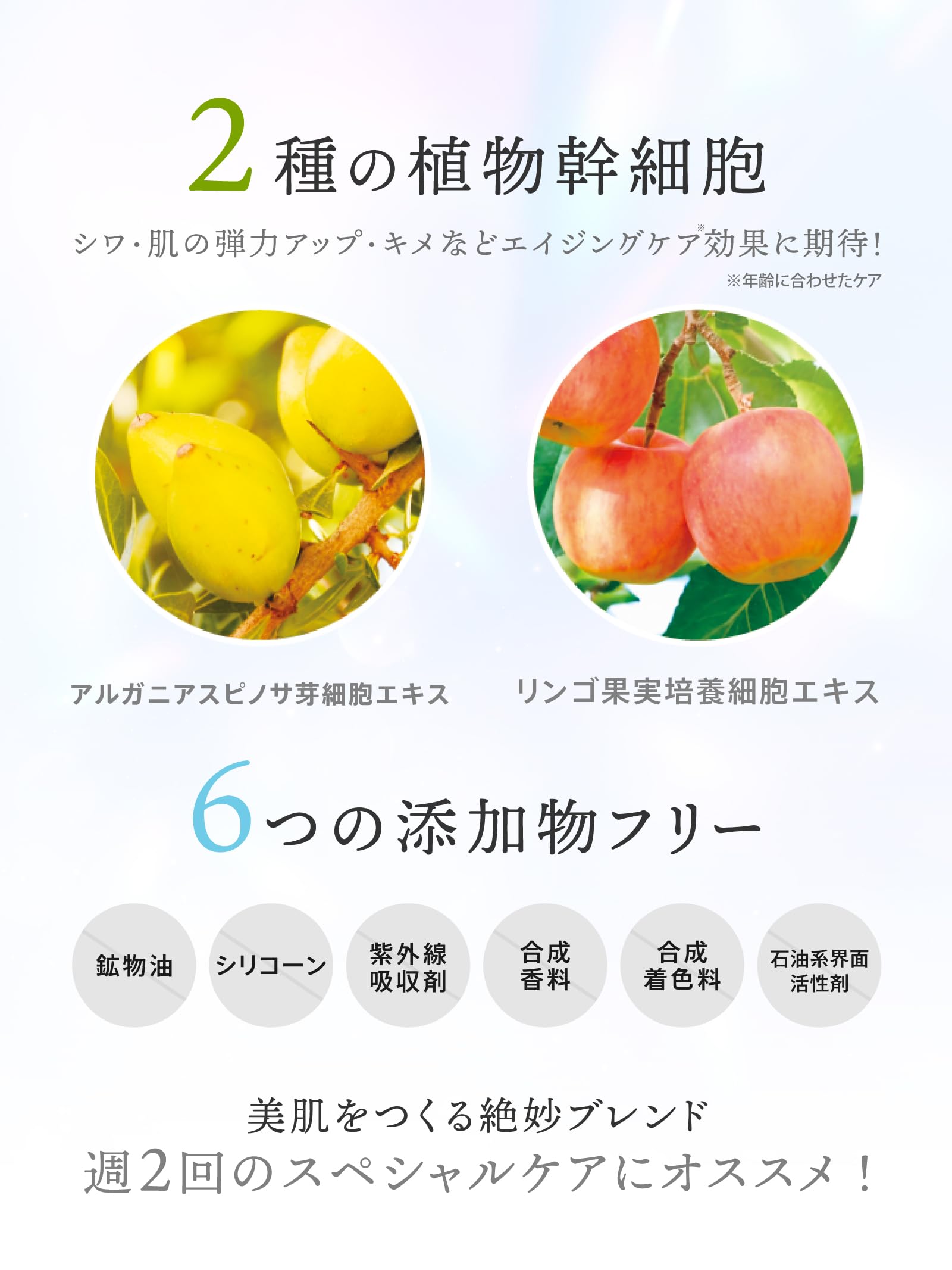 Amazon.co.jp: 【APPS ビタミンC × 幹細胞配合】(ゾーガンキン) G4U