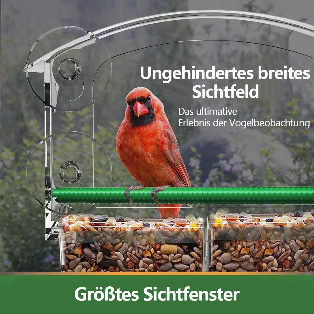 Comedero Transparente para Aves para Ventana - Exterior con 3 Ventosas y Posadera (25×15.5 cm) — view 7