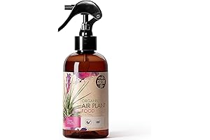 Organic Ready to Spray Air Plant Food: Nurture Your Aerial Beauties
