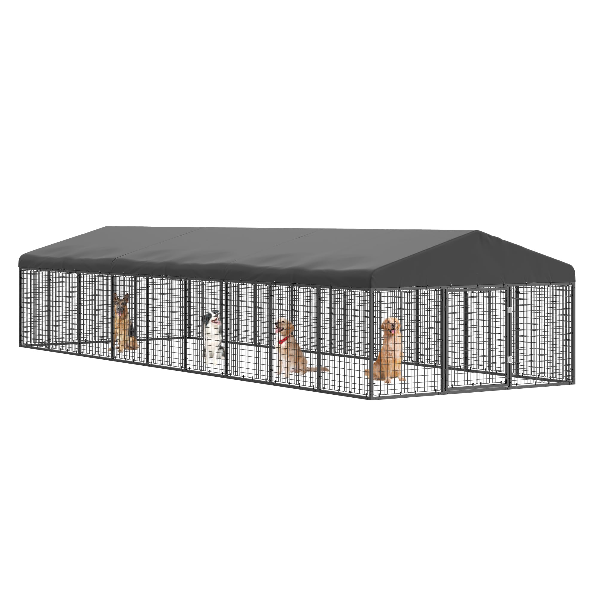 Cool Amazonian Goods